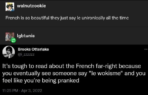walnutcookie French is so beautiful they just say unironically all the time Igbtunis Brooks Otterlake It's tough to read about the French far-right because you eventually see someone say wokisme" and 