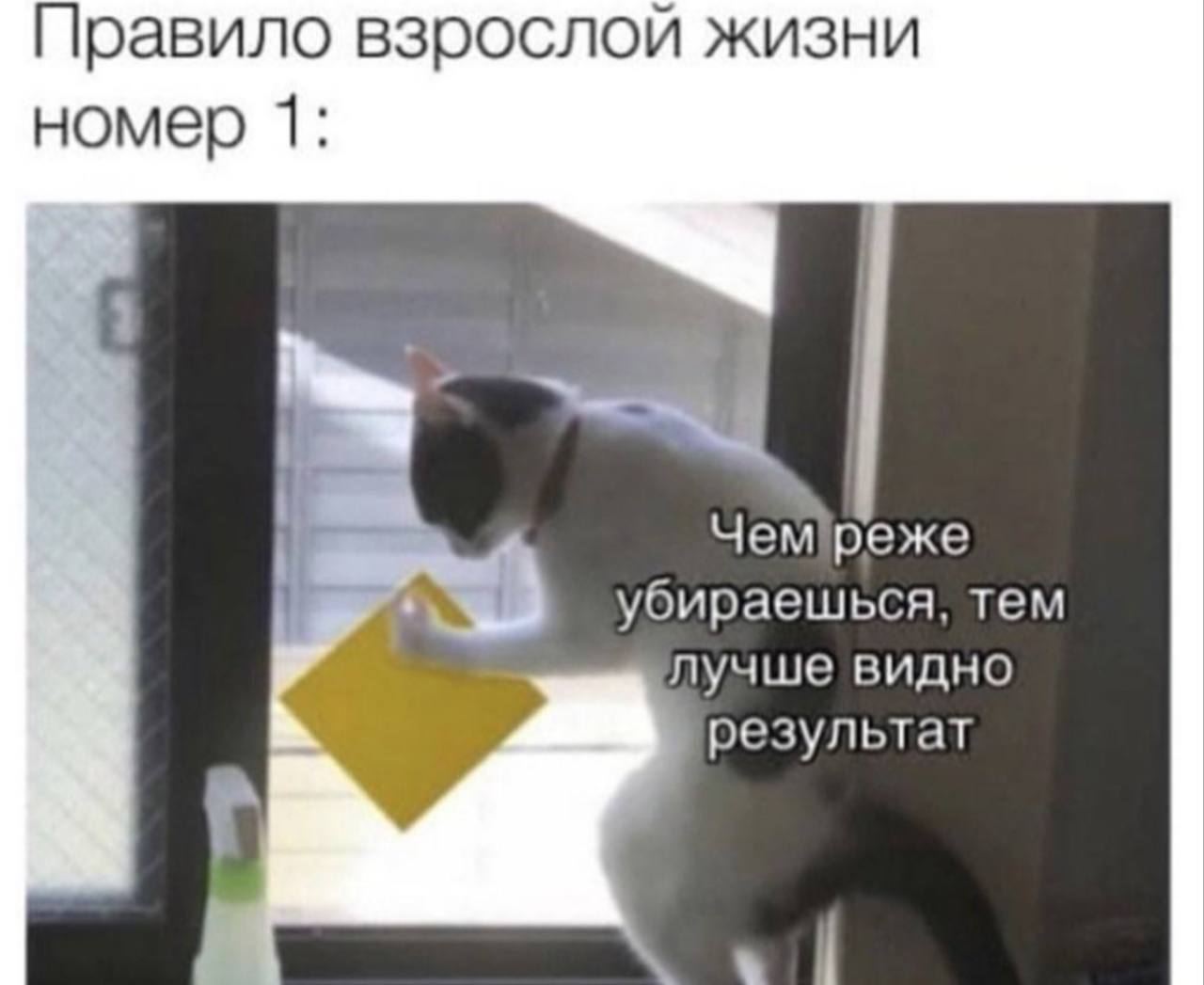 Правило взрослой жизни номер 1: убираешься, тем лучше видно результат в