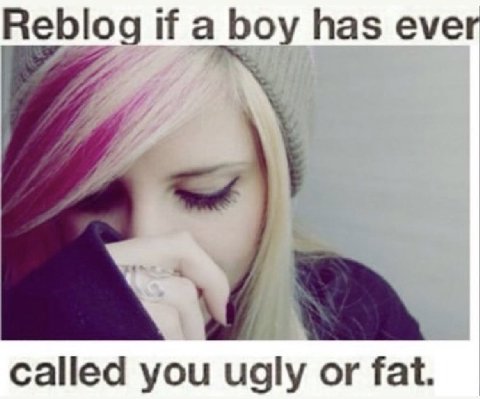 Reblog if a boy has ever called you ugly or fat.