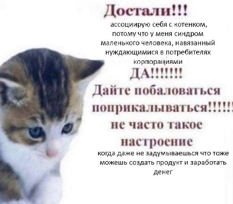 Достали ассоциирую себя с котенком, потому что у меня синдром маленького человека, навязанный нуждающимися в потребителях корпорациями ДА Дайте побаловаться поприкалываться не часто такое a настроение