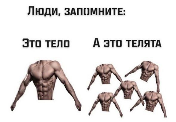 ЛЮДИ, ЗАПОМНИТЕ: Это ТЕЛО А ЭТО ТЕЛЯТА 1 i>