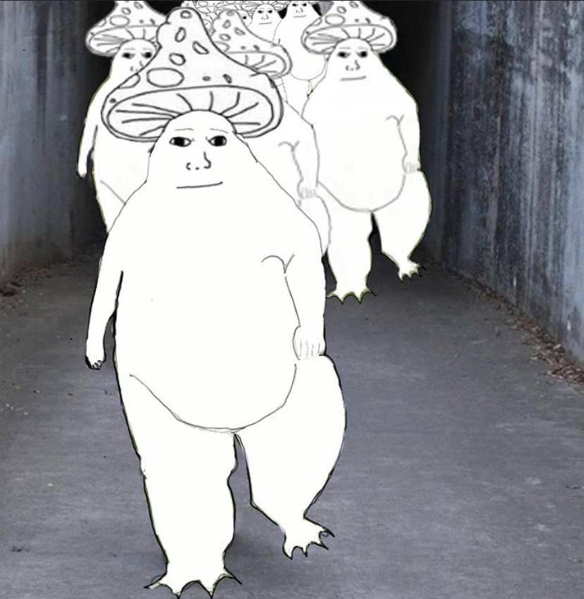 б BCS и