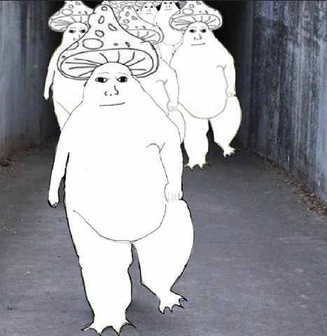 б BCS и