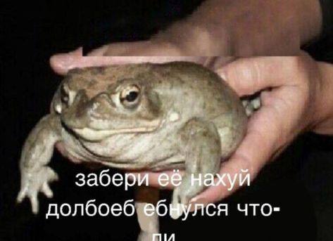 чувак