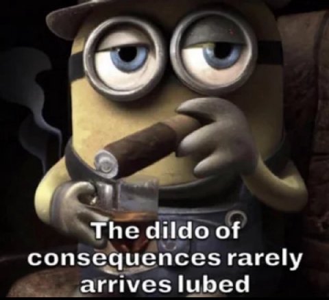 The dildo of consequencesrarely arrives lubed