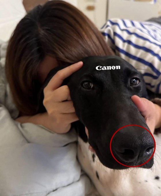 canon