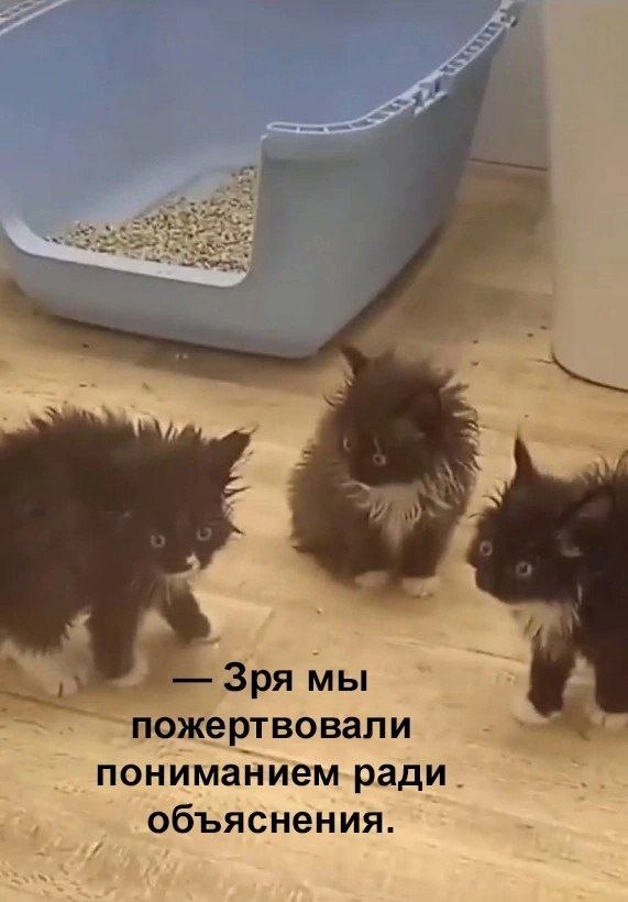 Зря мы пожертвовали пониманием ради объяснения