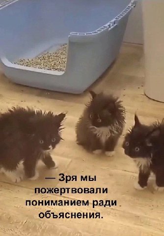 Зря мы пожертвовали пониманием ради объяснения