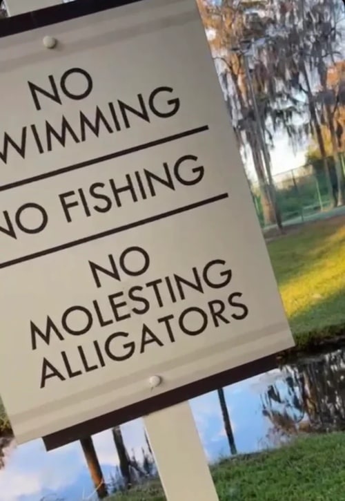 NO NO a