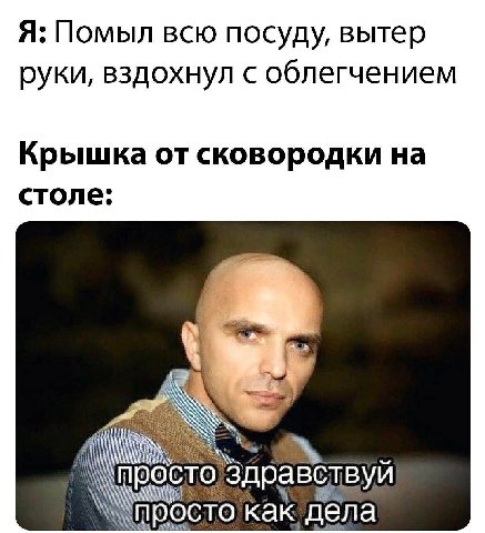 Я: Помыл всю посуду, вытер руки, вздохнул с облегчением Крышка от сковородки на столе: равствуй AN как