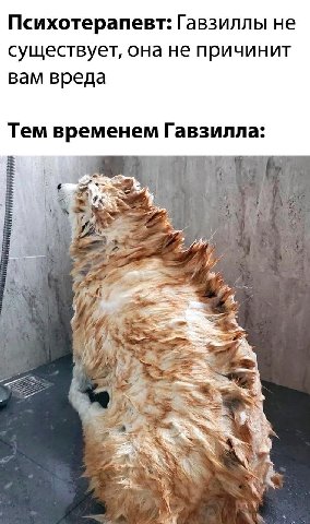 Психотерапевт: Гавзиллы не существует, она не причинит вам вреда Тем временем Гавзилла: 43 tis. 4 We И i