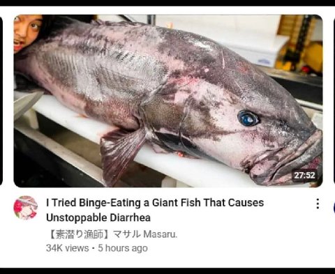 4 thy A 27:52 Tried Binge-Eating a Giant Fish That Causes Unstoppable Diarrhea Masaru views 5 hours ago