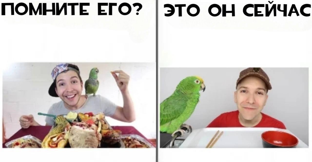 ПОМНИТЕ ЕГО? STO СЕЙЧАС a