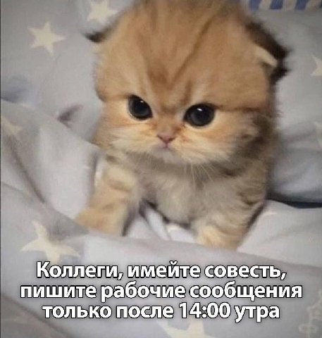 Коллеги, имейте совесть, пишите рабочие сообщения только после 14:00 утра