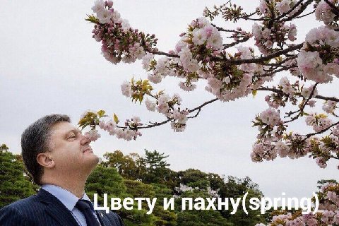 настроение