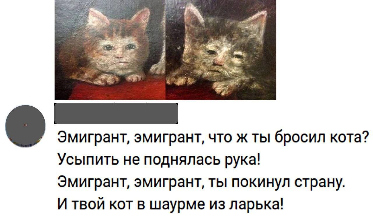 7 Эмигрант, эмигрант, что ж ты бросил кота? Усыпить не поднялась рука! Эмигрант, эмигрант, ты покинул страну. И твой кот в шаурме из ларька!