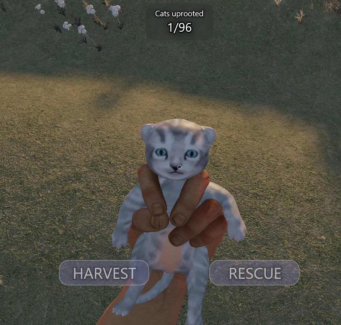 Cats uprooted 1/96 HARVEST RESCUE