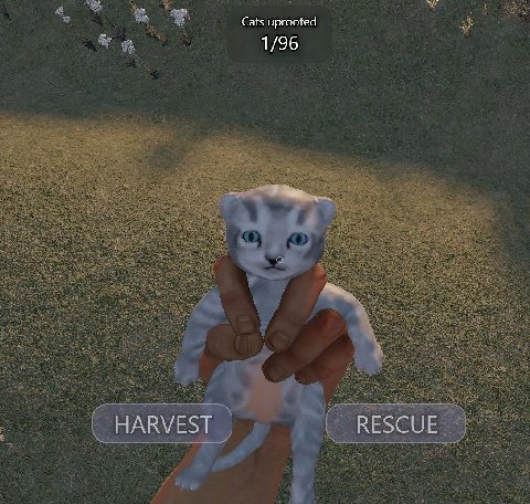 Cats uprooted 1/96 HARVEST RESCUE