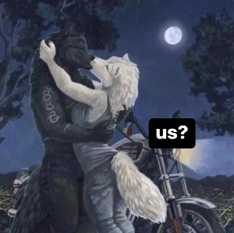 6 У