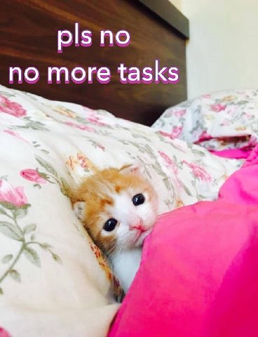 pls no no more tasks a