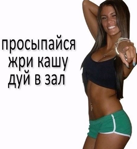 просыпайся жри кашу AVM в зал