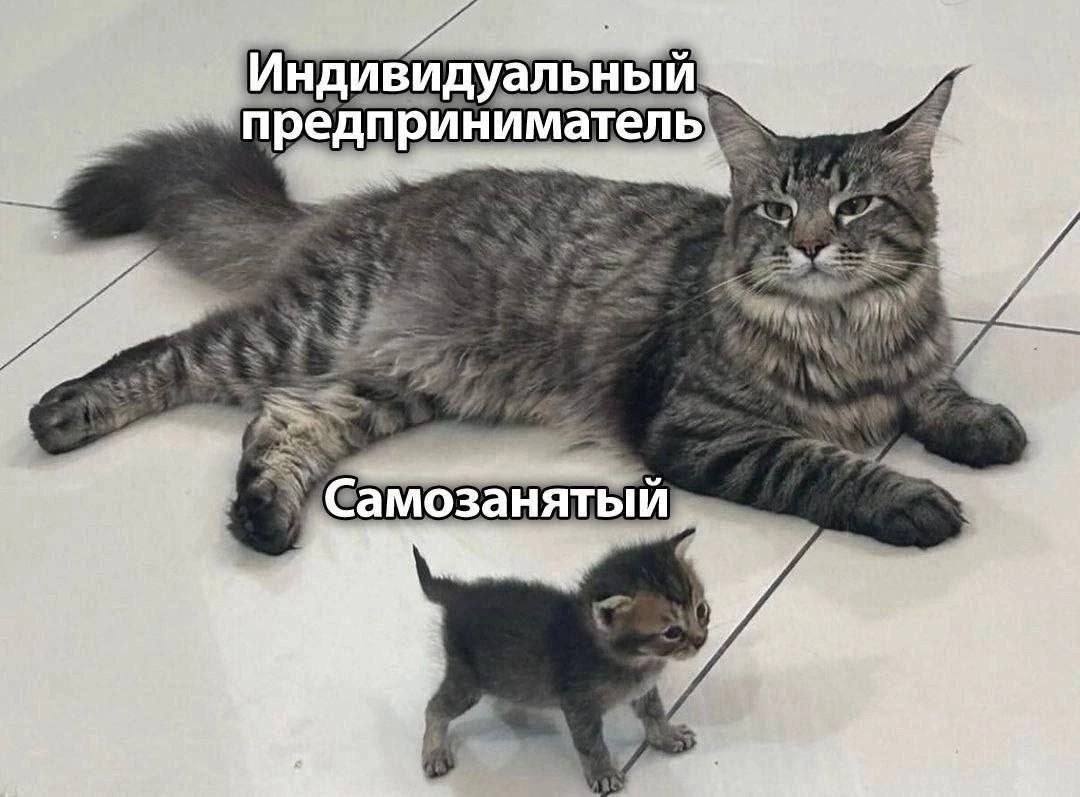 А. Индивидуальный предприниматель Самозанятый у a i у у у