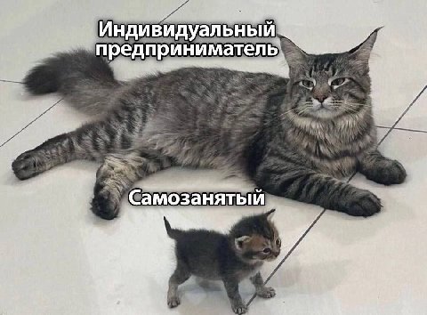 А. Индивидуальный предприниматель Самозанятый у a i у у у