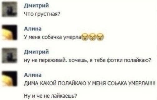 Дмитрий Что грустная? Алина У меня собачка Дмитрий ну не переживай. хочешь, я тебе фотки полайкаю? Алина ДИМА КАКОЙ ПОЛАЙКАЮ У МЕНЯ СОБАКА Ну и че не лайкаешь?