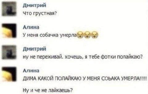 Дмитрий Что грустная? Алина У меня собачка Дмитрий ну не переживай. хочешь, я тебе фотки полайкаю? Алина ДИМА КАКОЙ ПОЛАЙКАЮ У МЕНЯ СОБАКА Ну и че не лайкаешь?