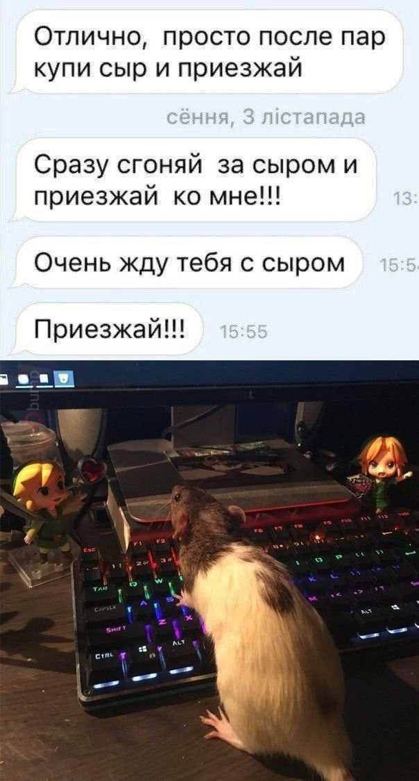 Отлично, просто после пар купи сыр и приезжай Сразу сгоняй за сыром и приезжай мне!!! Очень жду тебя с сыром Приезжай!!!