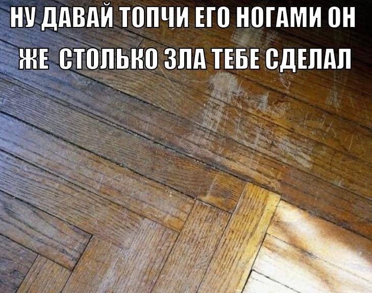 НУ ДАВАЙ ТОПЧИ ЕГО НОГАМИ ОН НЕ СТОЛЬНО SHA ТЕБЕ СДЕЛАЛ