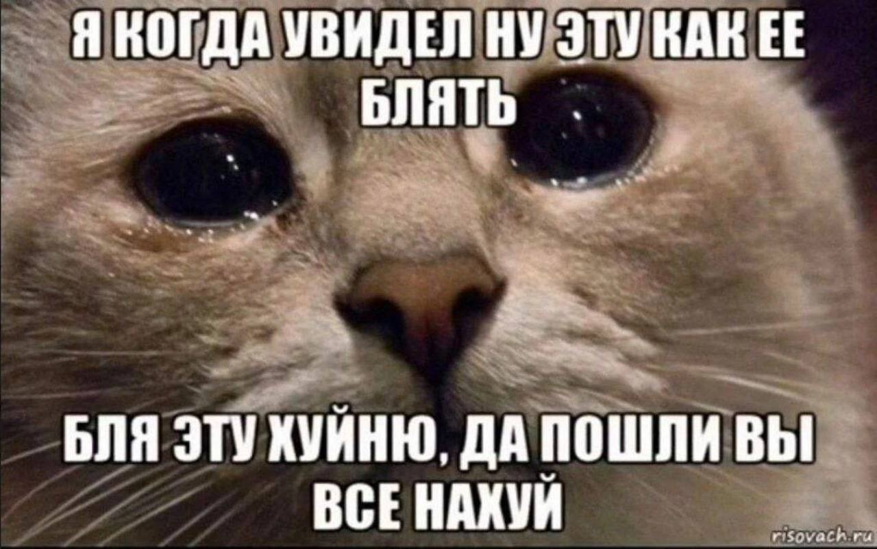 Я КОГДА УВИДЕЛ НУ ЭТУ БЛЯТЬ БЛЯ ЭТУ ХУЙНЮ, ДА ПОШЛИ вы ВСЕНАХУЙ