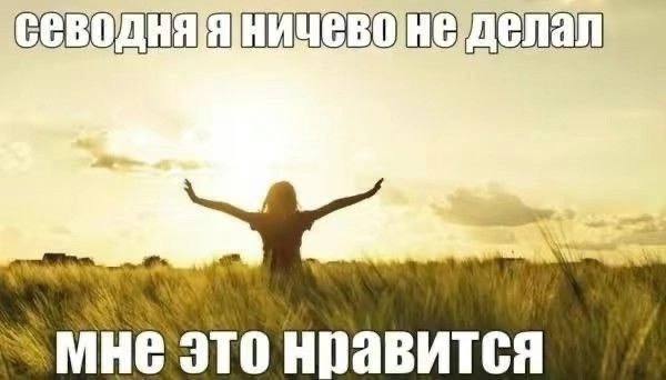 wer ЭТО