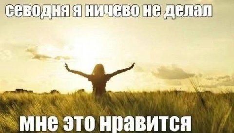 wer ЭТО