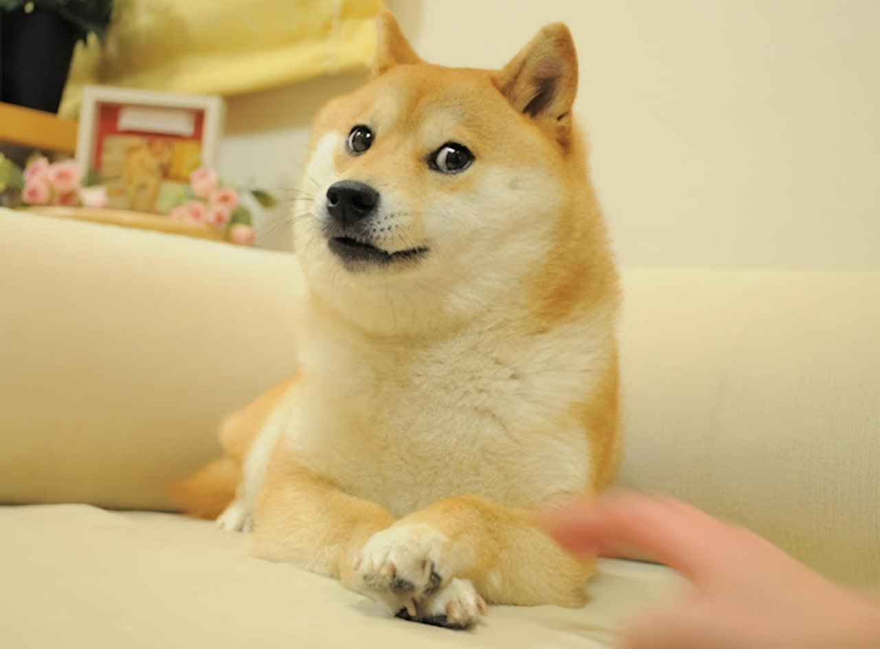 F