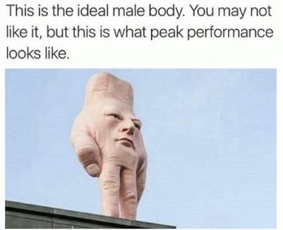 This is the ideal male body. You may not like it, but this is what peak performance looks like.