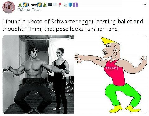 A 4 @AnpacDove found a photo of Schwarzenegger learning ballet and thought "Hmm, that pose looks familiar" and