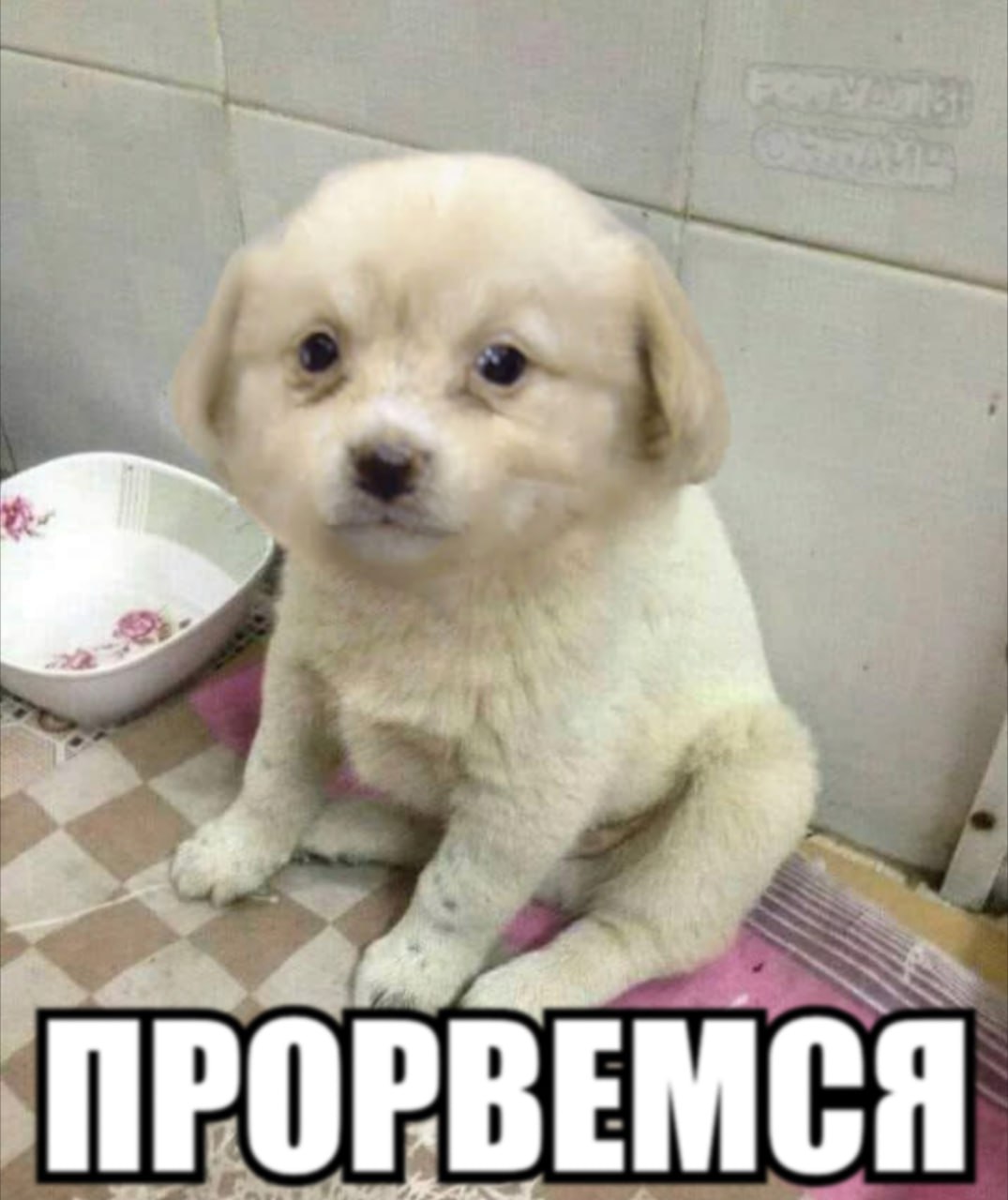 ПРОРВЕМСЯ