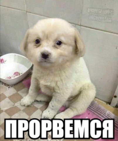 ПРОРВЕМСЯ