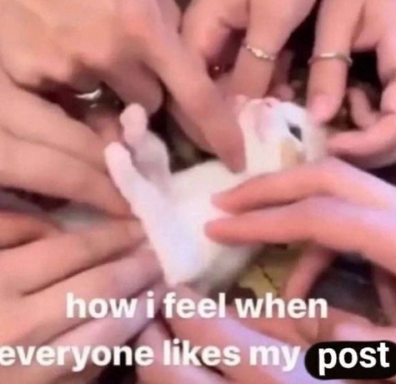 how i feel when everyone likes my post