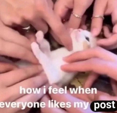 how i feel when everyone likes my post