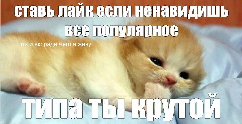 ставь ненавидишь и ради чего я живу 4 7 4 в. типа ВПУТОИ