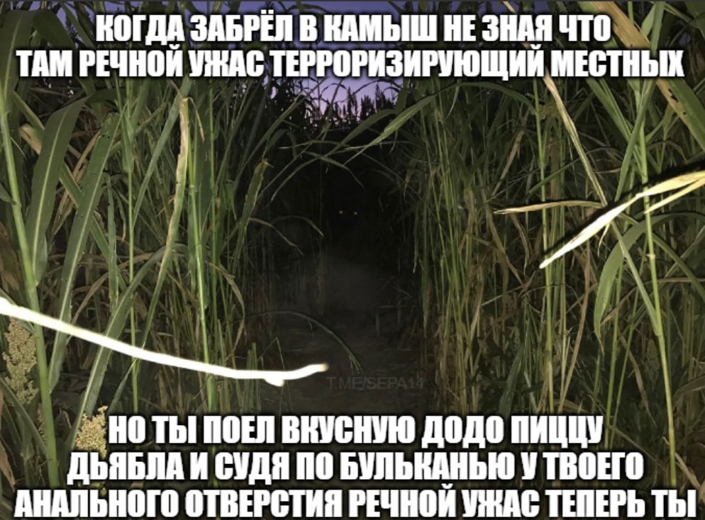 КОГДА ЗАБРЕЛ В КАМЫШ НЕ ЗНАЯ ЧТО ТАМ РЕЧНОЙ УЖАС ТЕРРОРИЗИРУЮЩИЙ МЕСТНЫХ Thi ПОЕЛ ВКУСНУЮ ДОДО ПИЦЦУ ДЬЯБЛА И СУДЯ ПО БУЛЬКАНЬЮ У ТВОЕГО АНАЛЬНОГО ОТВЕРСТИЯ РЕЧНОЙ УЖАС ТЕПЕРЬ ТЫ