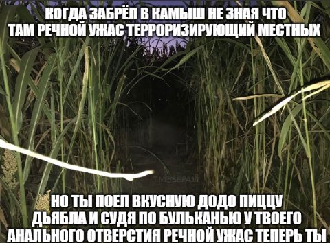 КОГДА ЗАБРЕЛ В КАМЫШ НЕ ЗНАЯ ЧТО ТАМ РЕЧНОЙ УЖАС ТЕРРОРИЗИРУЮЩИЙ МЕСТНЫХ Thi ПОЕЛ ВКУСНУЮ ДОДО ПИЦЦУ ДЬЯБЛА И СУДЯ ПО БУЛЬКАНЬЮ У ТВОЕГО АНАЛЬНОГО ОТВЕРСТИЯ РЕЧНОЙ УЖАС ТЕПЕРЬ ТЫ