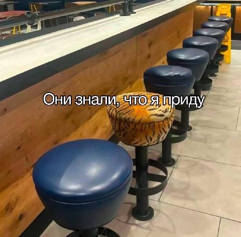 Они знали, Что я приду