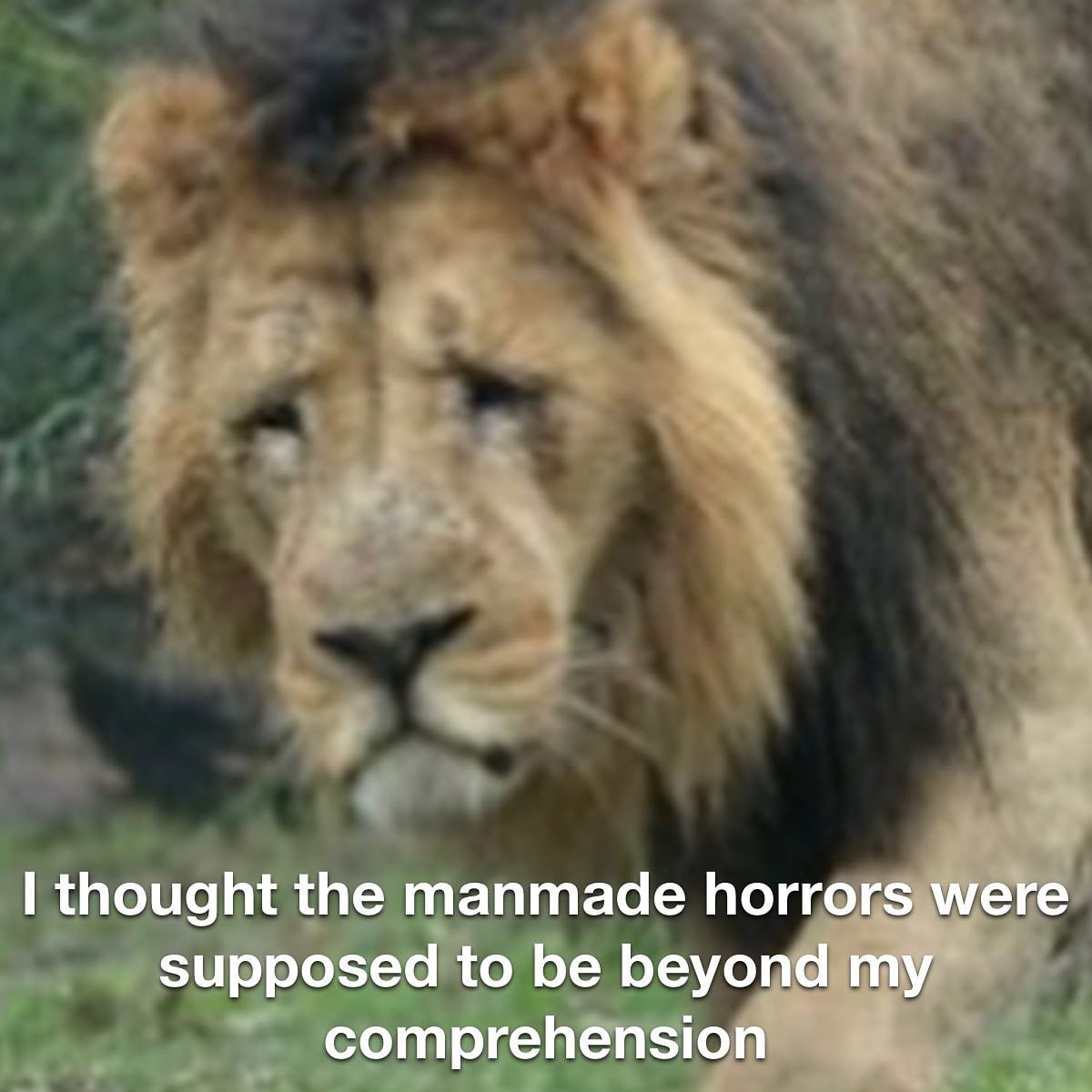 thought the manmade horrors were supposed to be beyond my comprehension