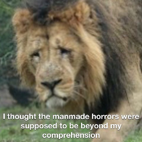 thought the manmade horrors were supposed to be beyond my comprehension