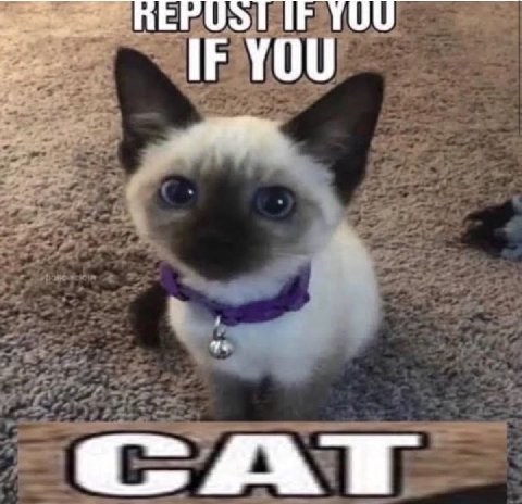IF YOU