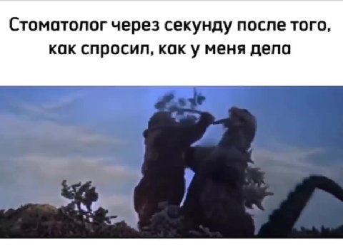 Стоматопог через секунду после того, как спросил, как у меня депа