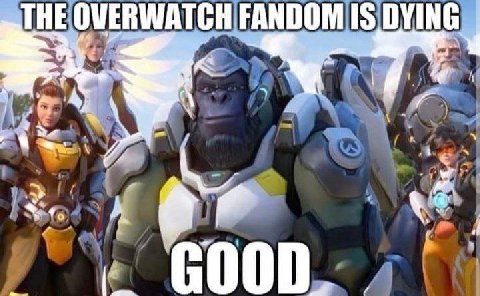FAN 7.